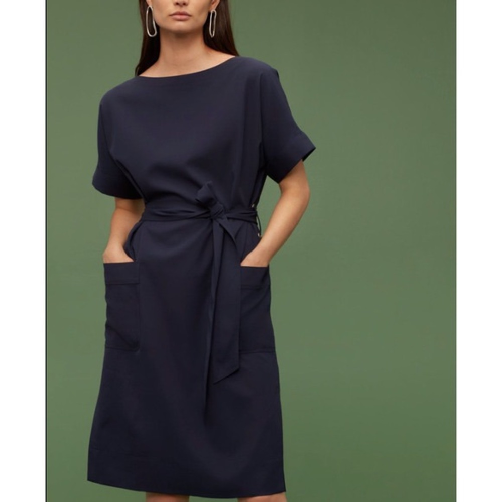 Aritzia Babaton MIDI Dress - M